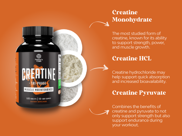 Creatine Pills 5g - Creatine Monohydrate, Creatine HCL & Pyruvate - 120 Ct