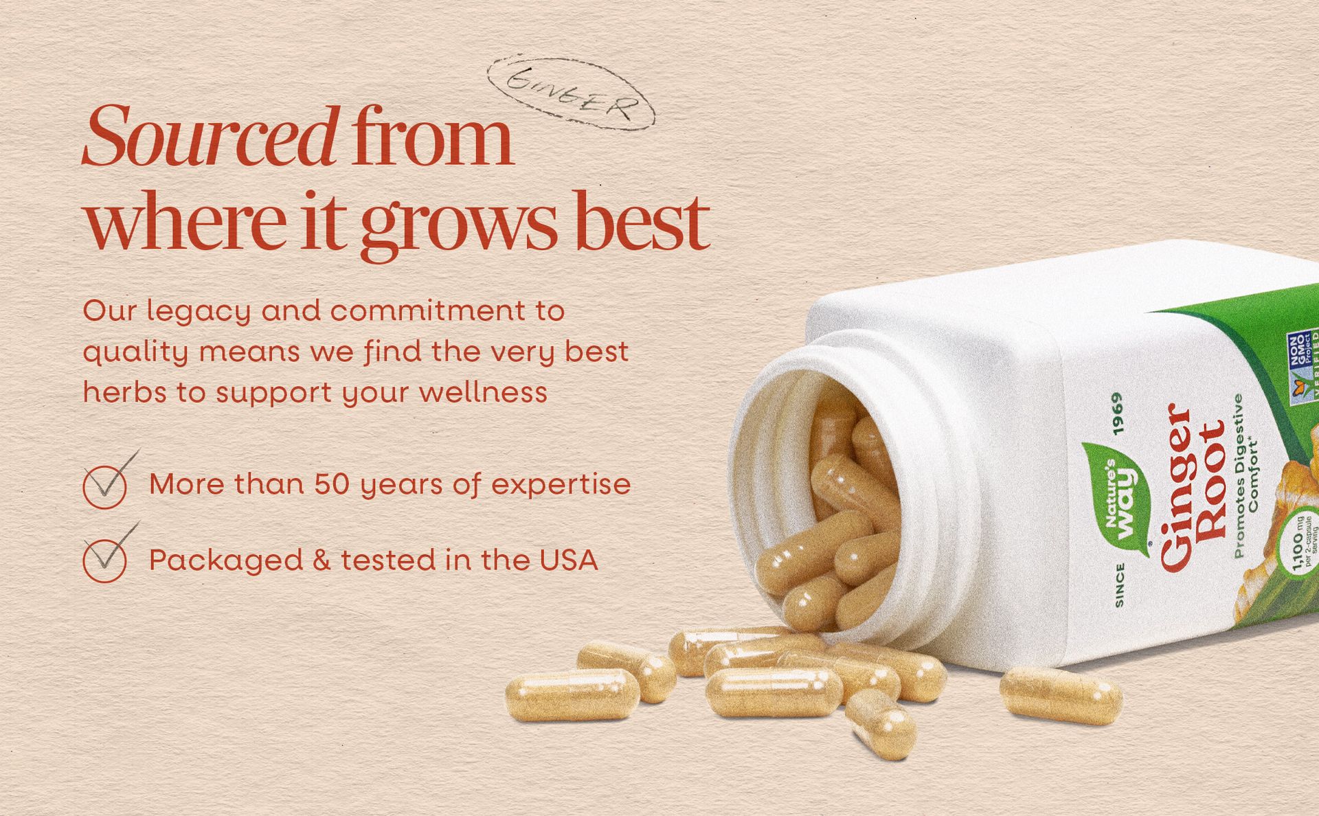 Nature's Way Ginger Root Capsules,1,100 mg per Serving, Vegan, 240 ct