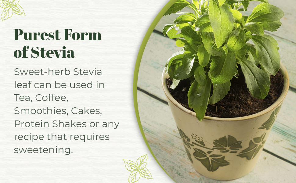 Ayushmaan Organics The supernatural Stevia dry leaves 250 gram