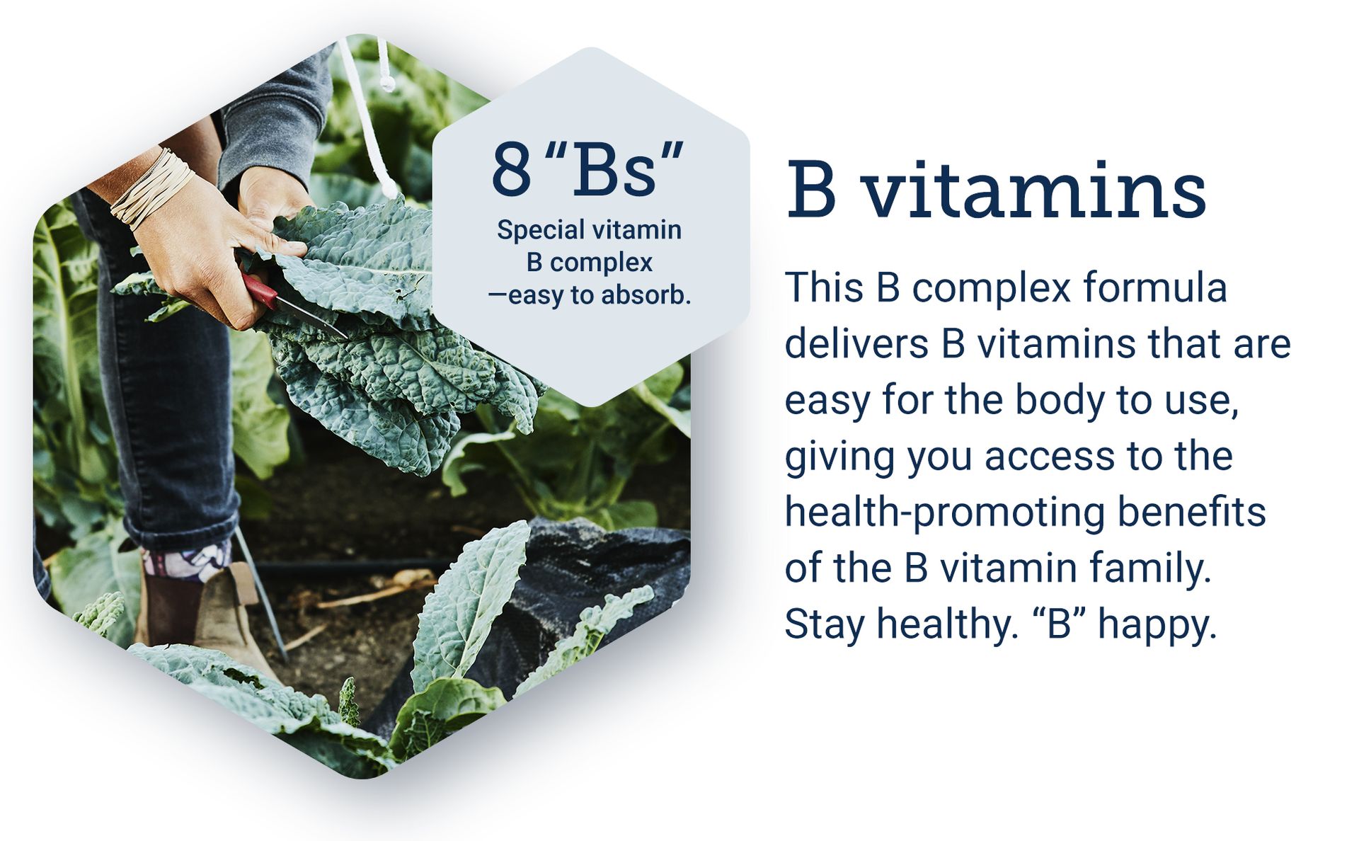 Life Extension BioActive Complete B-Complex, 60 Vegetarian Capsules