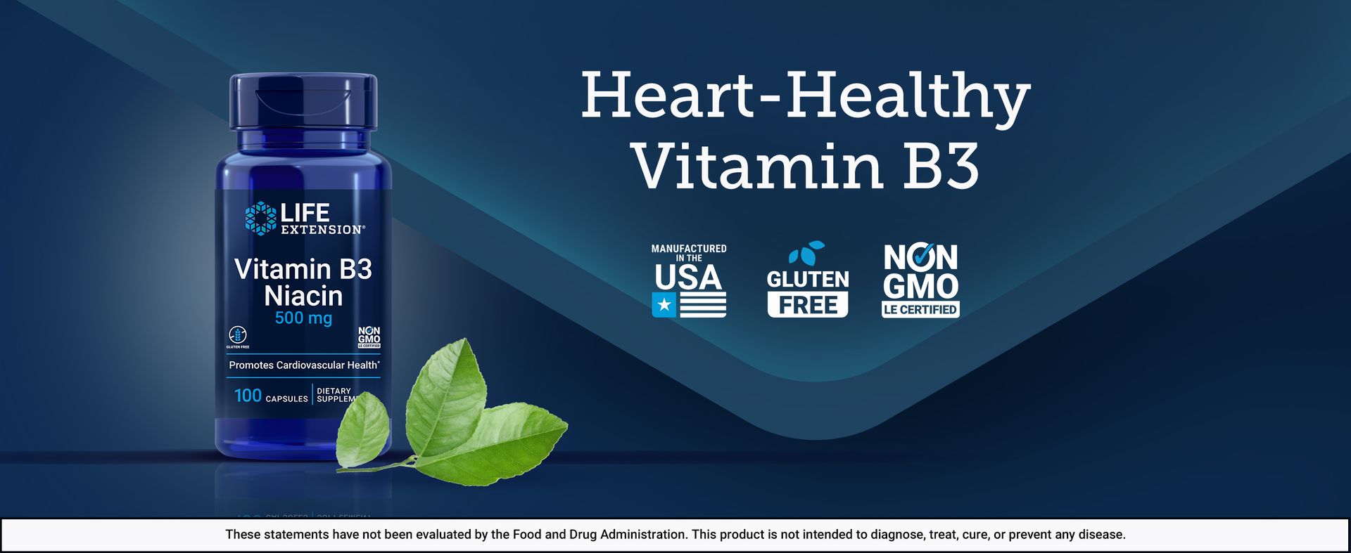 Life Extension Vitamin B3 Niacin, Heart Health, Cholesterol & Energy Support, Gluten-Free, Non-GMO, 100 Capsules