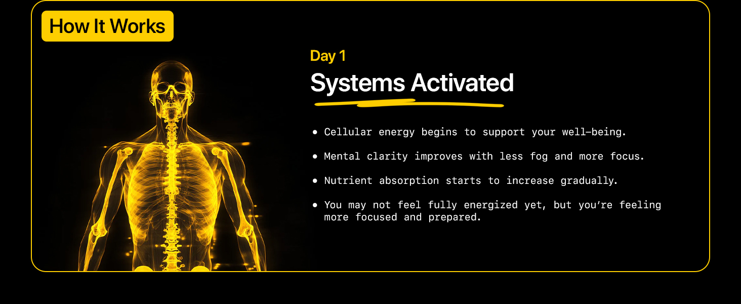 Menerals Testosterone Mineral Supplement for Men with Fulvic Acid, 60 Count