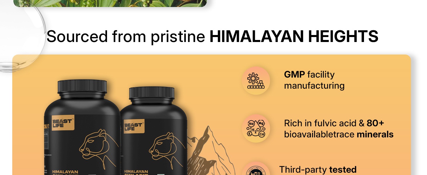 BeastLife Himalayan Shilajit | Pure & Potent Shilajit Supplement | Improve Muscle Strength, Enhances Stamina, Energy & Power | Supports Faster Recovery | Natural & Organic Shilajeet (60 Capsules)