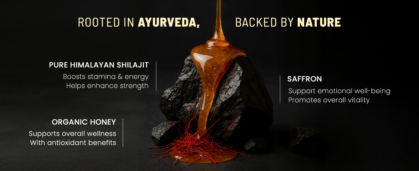 Anecdote Pure Himalayan Shilajit Honey Sticks With Organic Honey & Saffron