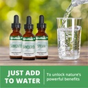 nutramedix-dandelion-detox-support-tinct-6.jpg