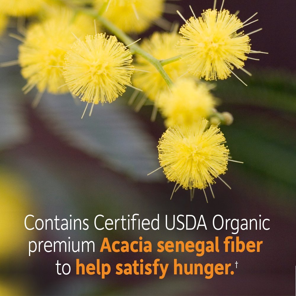 garden-of-life-dr-formulated-organic-fib-5.jpg