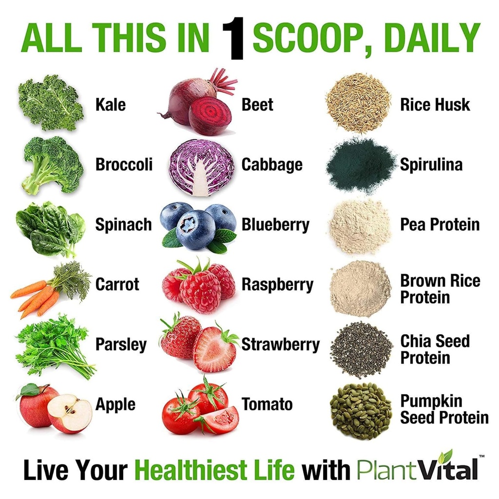 plantvital-unflavored-organic-vegan-prot-2.jpg