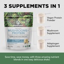 plantfusion-mushroom-protein-powder-3-in-3.jpg