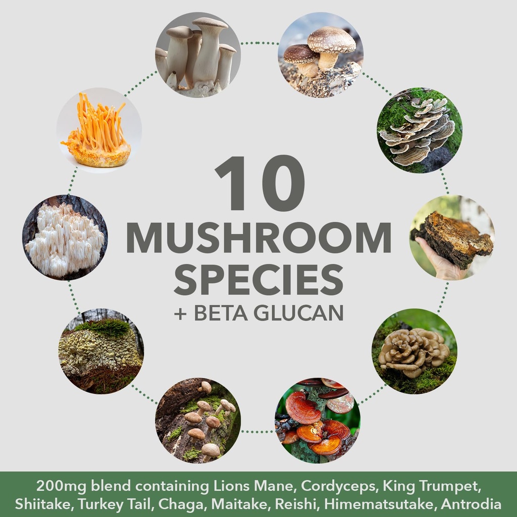 plantfusion-mushroom-protein-powder-3-in-6.jpg