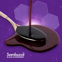 sambucol-black-elderberry-syrup-black-el-3.jpg