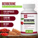 berberine-with-ceylon-cinnamon-1200-mg-b-4.jpg