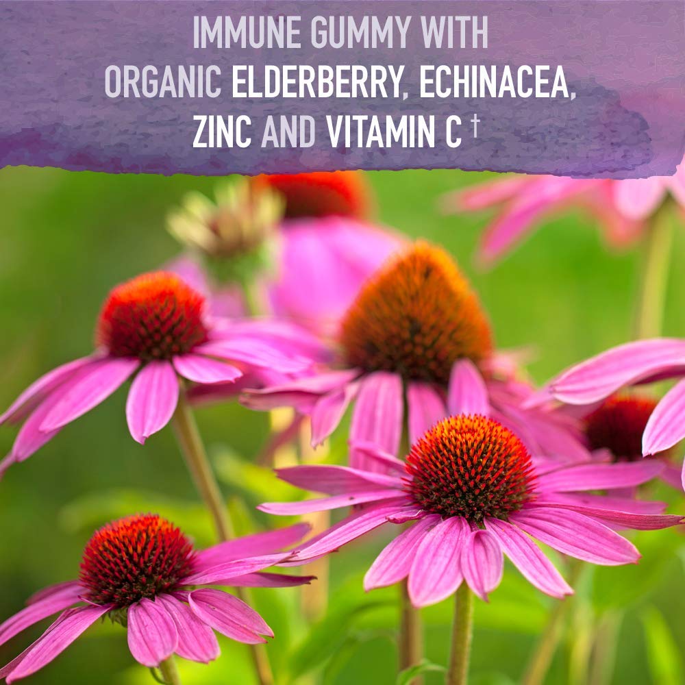 garden-of-life-immune-support-bundle-org-2.jpg