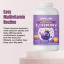 immune-support-gummies-elderberry-vitami-5.jpg