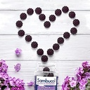black-elderberry-dietary-supplement-gumm-4.jpg