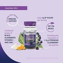 black-elderberry-dietary-supplement-gumm-3.jpg