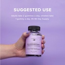 the-elderberry-co-extra-strength-elderbe-5.jpg
