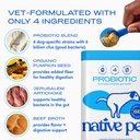 native-pet-probiotic-powder-for-dogs-4-1-6.jpg
