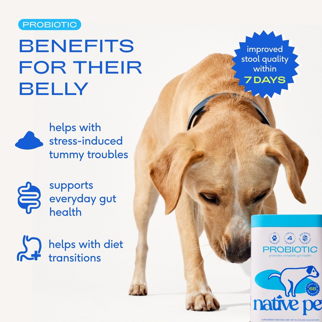 native-pet-probiotic-powder-for-dogs-4-1-2.jpg
