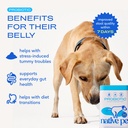 native-pet-goat-milk-powder-for-dogs-120-3.jpg