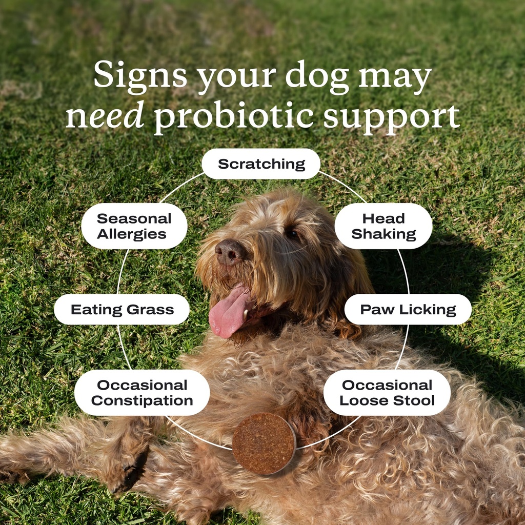 petlab-co-probiotics-for-dogs-support-gu-5.jpg