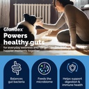 vetnique-glandex-dog-probiotic-chews-dai-4.jpg