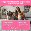 wholistic-pet-organics-daily-cat-dog-pro-4.jpg