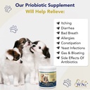 probiotics-for-dogs-digestive-health-chi-6.jpg
