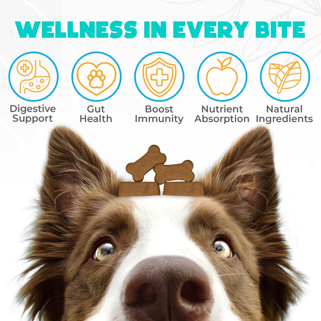 probiotics-for-dogs-chews-150-pcs-probio-2.jpg