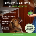 daily-essentials-virtual-bundle-probioti-3.jpg