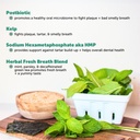 daily-essentials-virtual-bundle-probioti-4.jpg