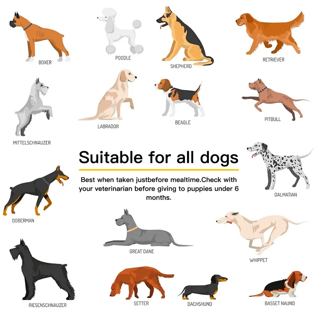 probiotics-for-dogs-dog-probiotics-for-y-6.jpg