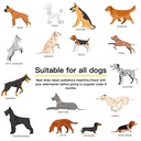 probiotics-for-dogs-dog-probiotics-for-y-6.jpg