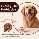 turkey-tail-mushroom-for-dogs-turkey-tai-2.jpg
