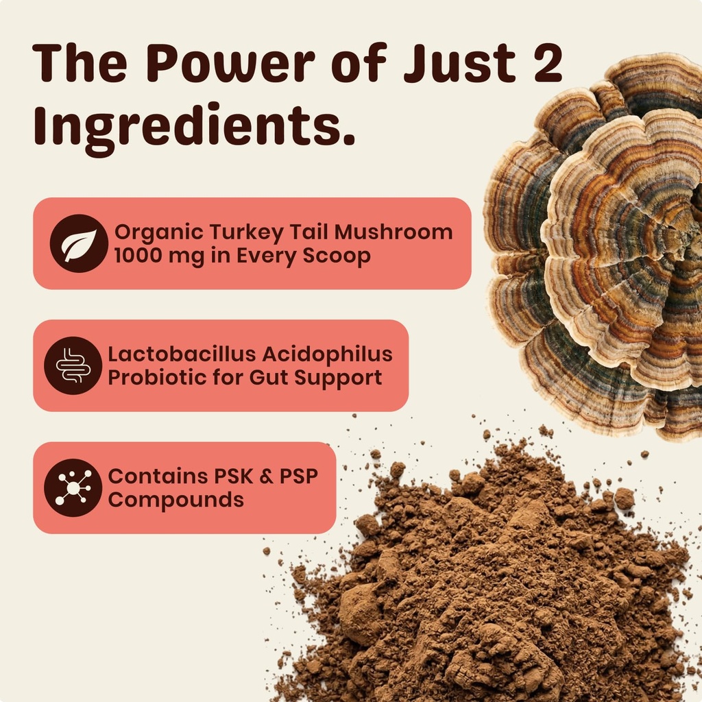 turkey-tail-mushroom-for-dogs-turkey-tai-4.jpg
