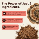turkey-tail-mushroom-for-dogs-turkey-tai-4.jpg