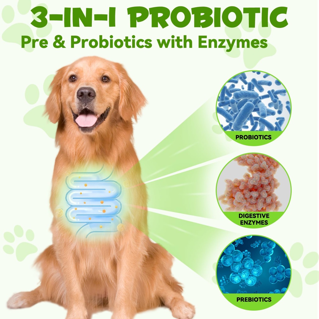 oimmal-probiotics-for-dogs-3-in-1-dog-pr-2.jpg