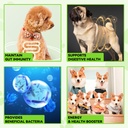 oimmal-probiotics-for-dogs-3-in-1-dog-pr-5.jpg
