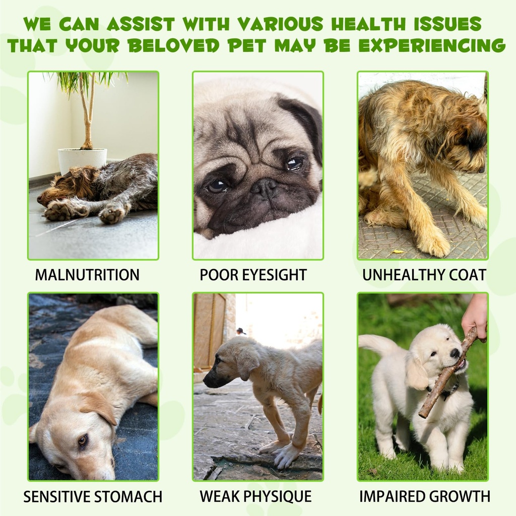 oimmal-probiotics-for-dogs-3-in-1-dog-pr-6.jpg