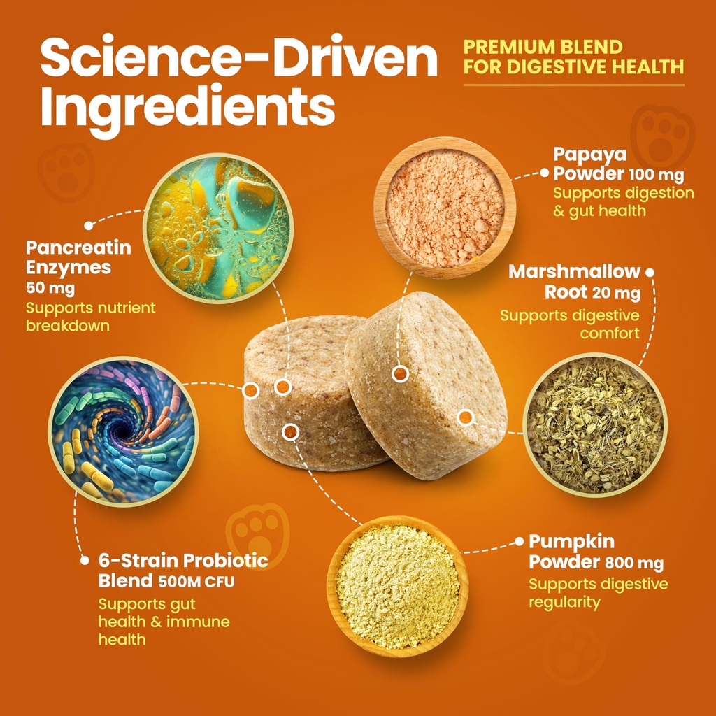 probiotics-for-dogs-dog-probiotics-for-d-4.jpg