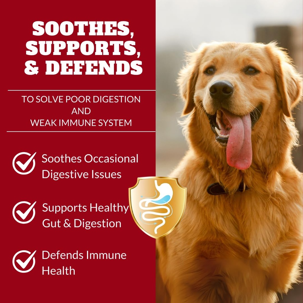 probiotics-for-dogs-cats-probiotic-for-s-2.jpg