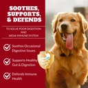 probiotics-for-dogs-cats-probiotic-for-s-2.jpg