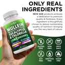 mullein-leaf-extract-for-lungs-cleanse-n-6.jpg