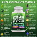 mullein-leaf-extract-for-lungs-cleanse-n-2.jpg