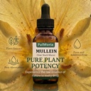 pulmoria-clear-stuck-mucus-with-wild-mul-5.jpg