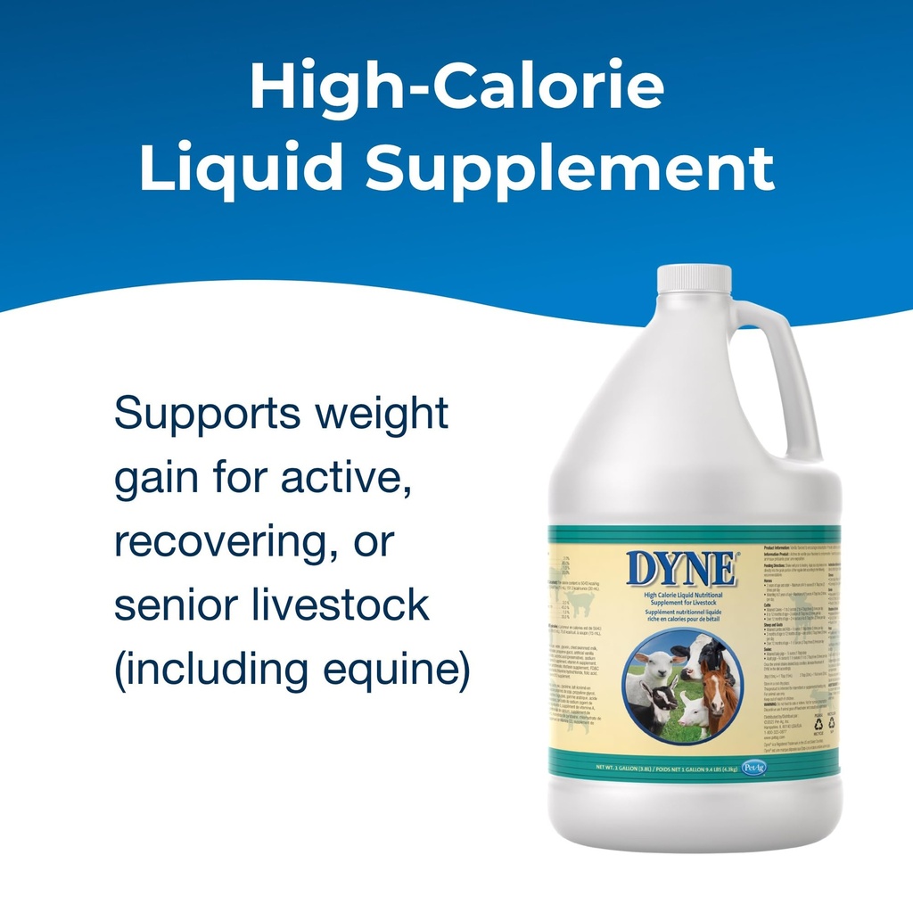 petag-dyne-high-calorie-liquid-nutrition-2.jpg