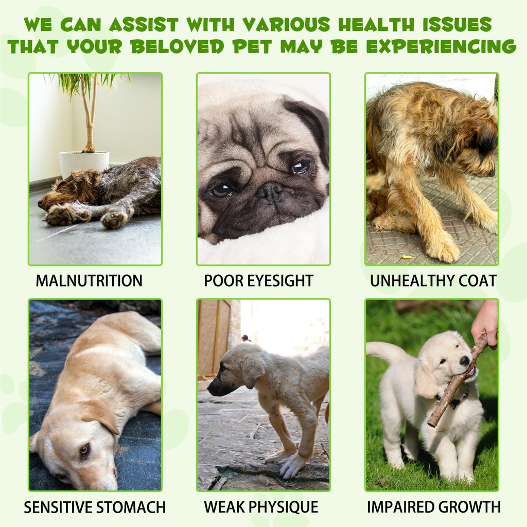 3-in-1-probiotics-for-dogs-with-digestiv-2.jpg