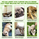 3-in-1-probiotics-for-dogs-with-digestiv-2.jpg