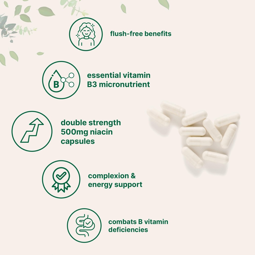 micro-ingredients-niacin-500mg-per-servi-3.jpg