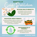 eclectic-herb-organic-california-poppy-e-4.jpg