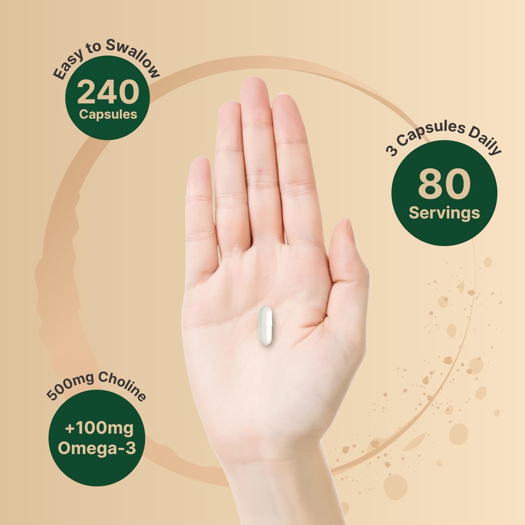 naturebell-choline-500-mg-with-omega-3-f-4.jpg